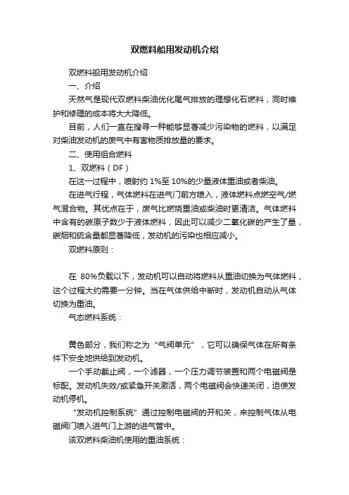 双燃料船用发动机介绍