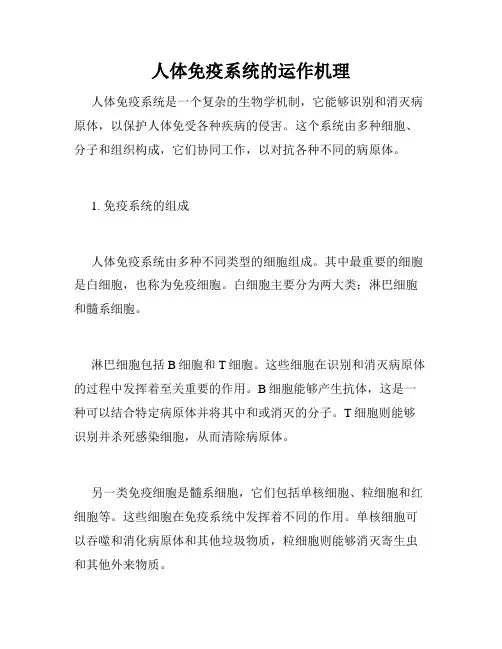 人体免疫系统的运作机理