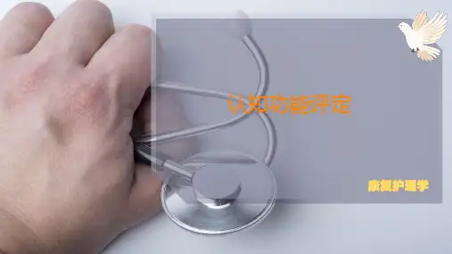 认知功能评定
