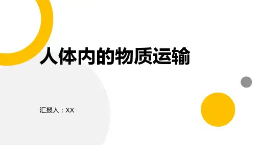 人体内的物质运输ppt