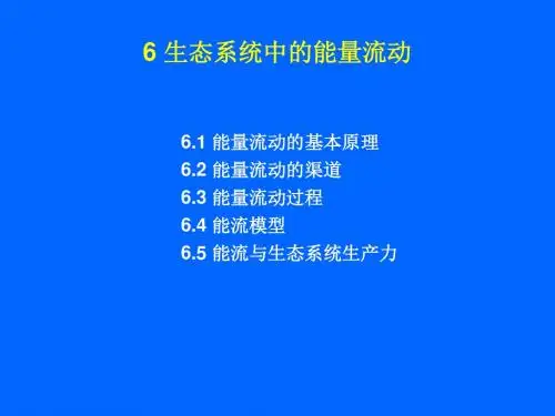 生态学6能量流动