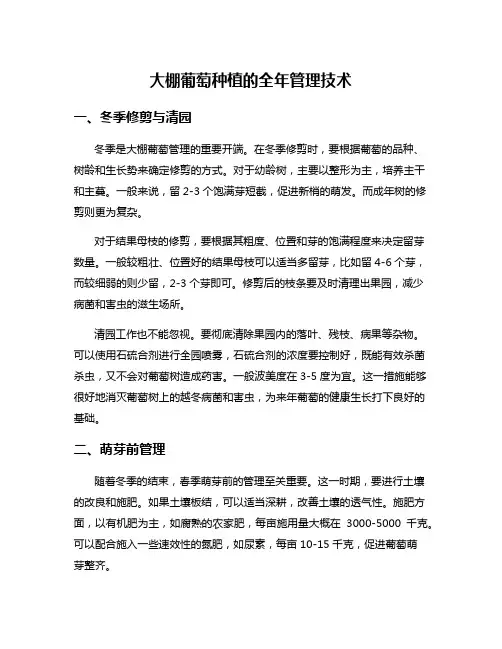 大棚葡萄种植的全年管理技术
