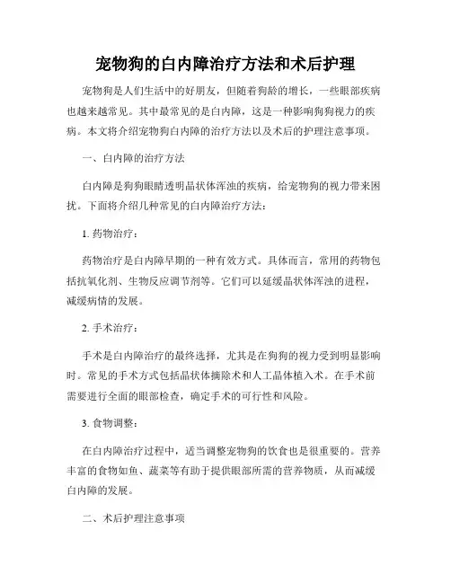 宠物狗的白内障治疗方法和术后护理