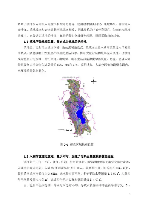 滇池湖滨湿地治理存在的问题及对策2