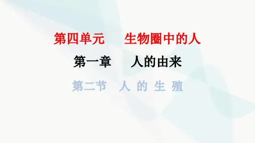 人教版七年级生物下册第一章第二节人的生殖课件