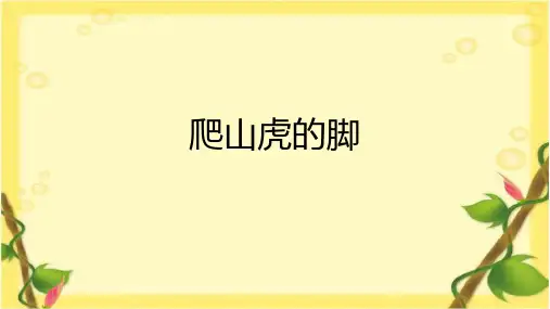 《爬山虎的脚》ppt课件