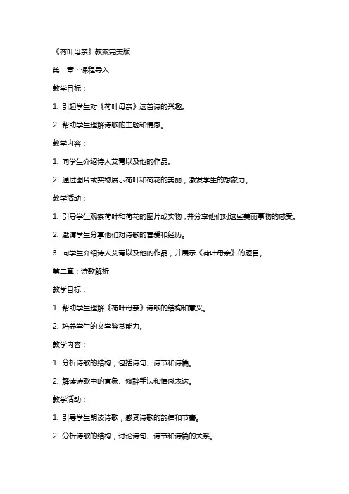 《荷叶母亲》教案完美版