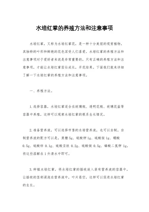 水培红掌的养殖方法和注意事项