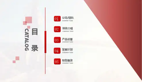 高端商务招商加盟策划书教学课件PPT