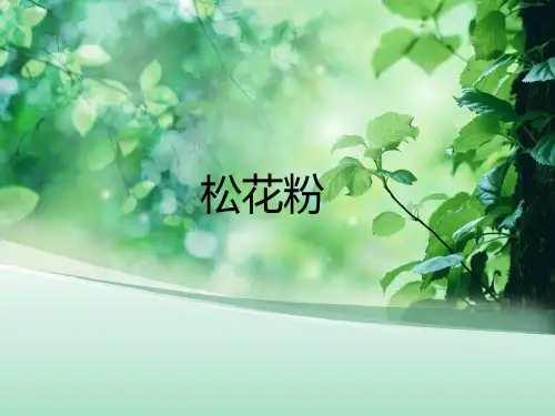 松花粉 ppt课件