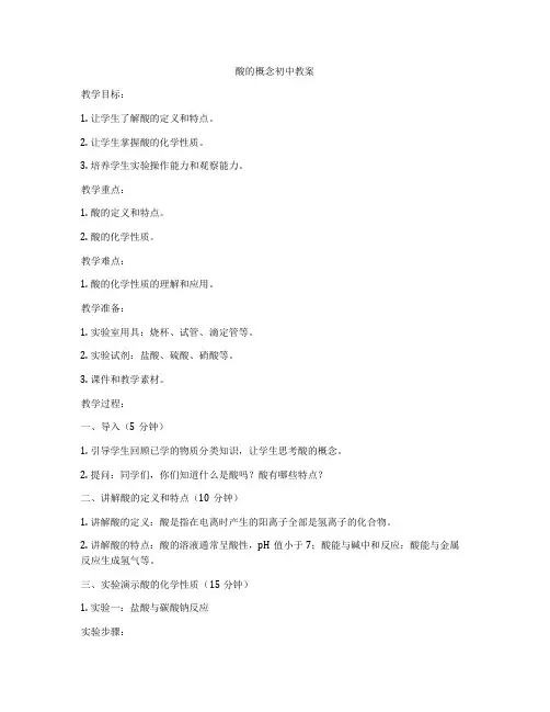 酸的概念初中教案
