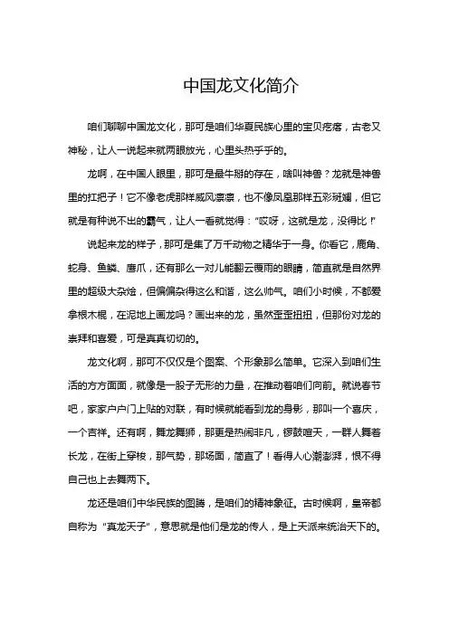 中国龙文化简介