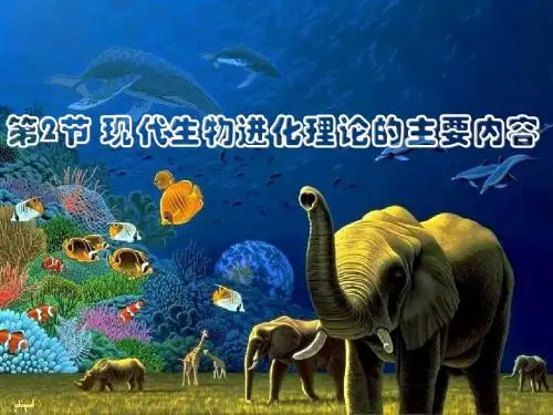 人教版必修二  共同进化与生物多样性的形成 课件 (11张)