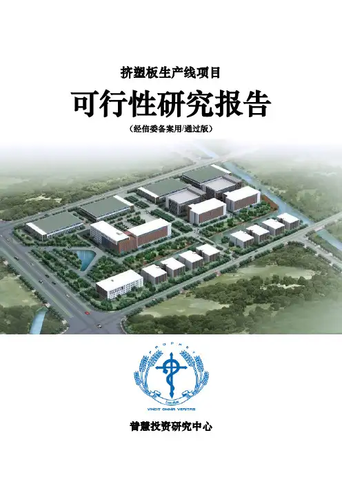 挤塑板生产线项目可行性研究报告经信委备案用(通过版)