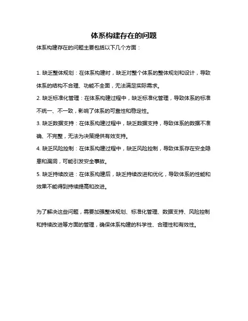 体系构建存在的问题