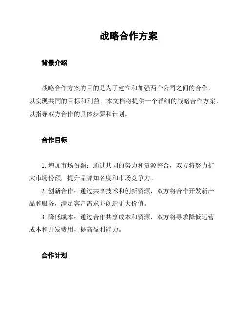战略合作方案