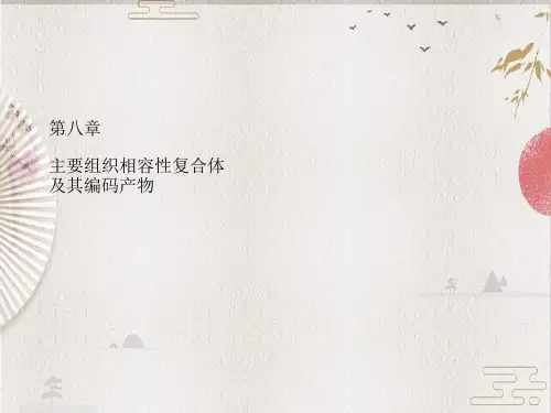 【医学免疫学】第8章   主要组织相容性复合体