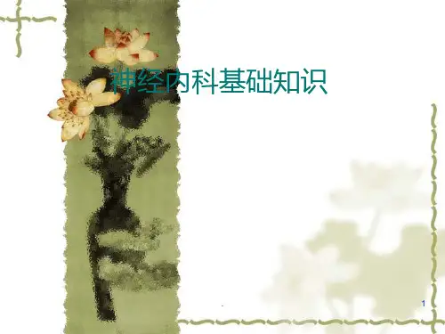 神经内科基础知识ppt课件