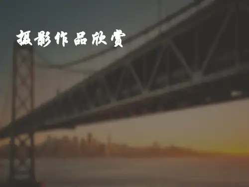 摄影赏析 ppt课件