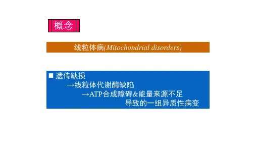 线粒体病概述