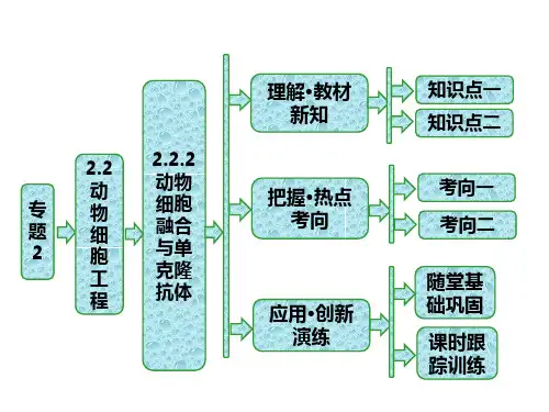 生物选修Ⅲ人教新课标2-2-2动物细胞融合与单克隆抗体课件(44张)