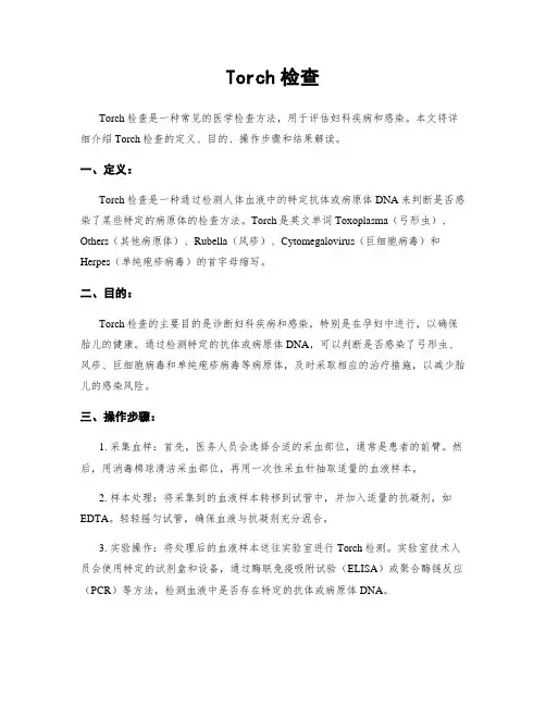 Torch检查