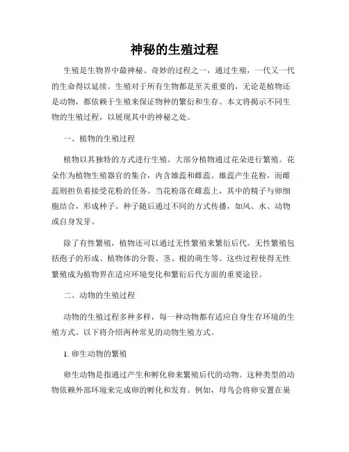 神秘的生殖过程