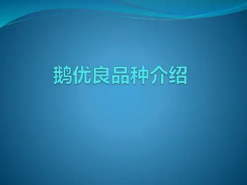 鹅优良品种介绍