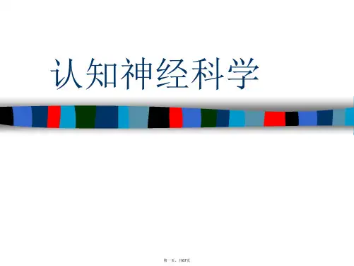 认知神经科学