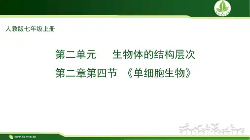 七年级生物第二单元第二章第四节《单细胞生物》