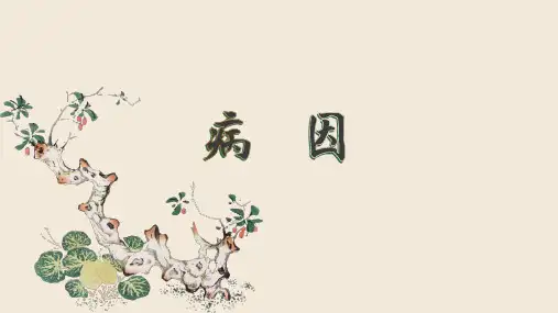 中医病因-外感六淫