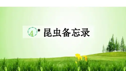 4.《昆虫备忘录》 课件(共14张PPT)