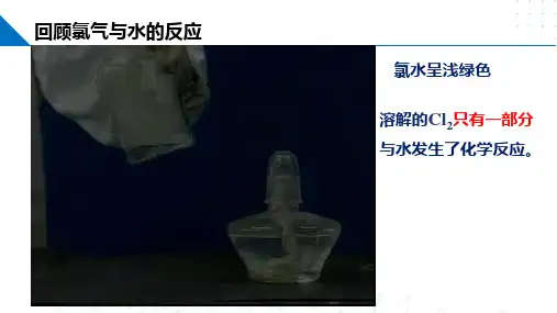 化学反应的限度课件-高一化学人教版(2019)必修第二册