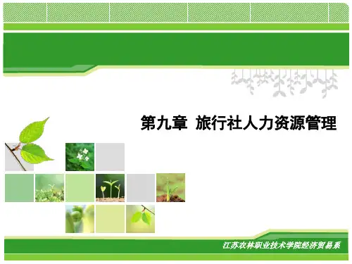 第九章旅行社人力资源管理