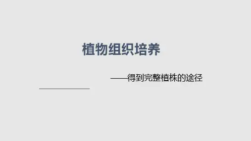 植物组织培养PPT课件