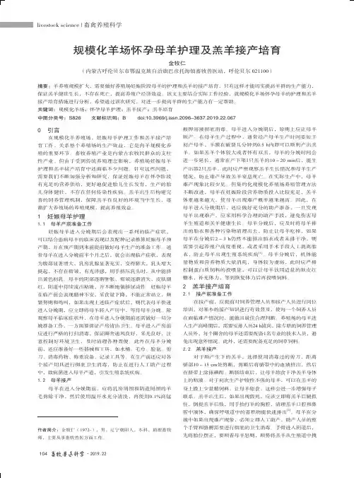 规模化羊场怀孕母羊护理及羔羊接产培育