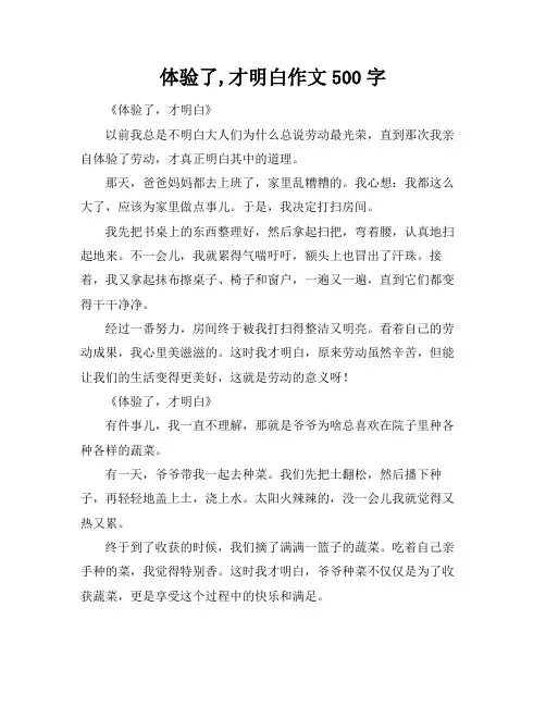 体验了,才明白作文500字