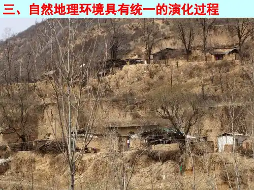 地理人教版必修一5.2自然地理环境的差异性课件(共50张PPT)[优秀课件资料]