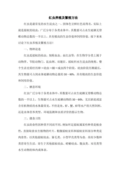 钓鱼技巧：红虫养殖及繁殖方法