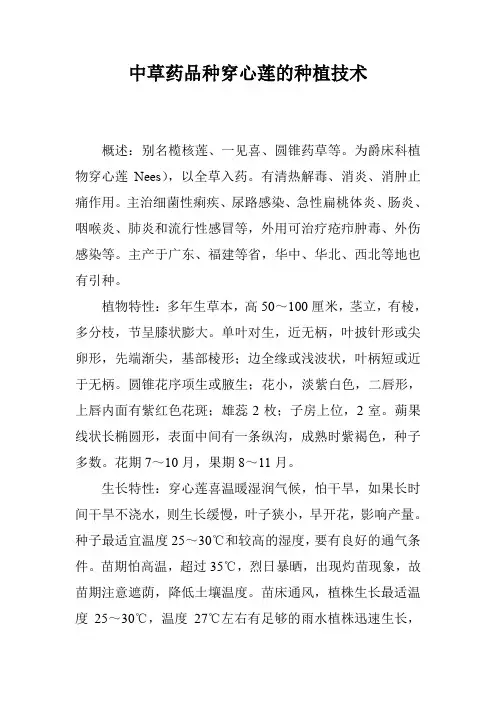 中草药品种穿心莲的种植技术