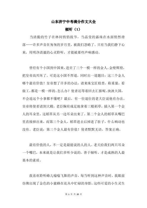 山东济宁中考满分作文大全