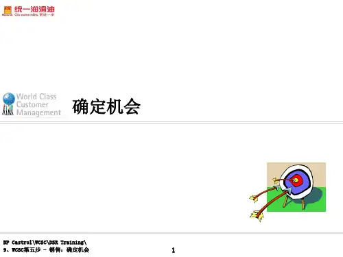 BP润滑油资料9