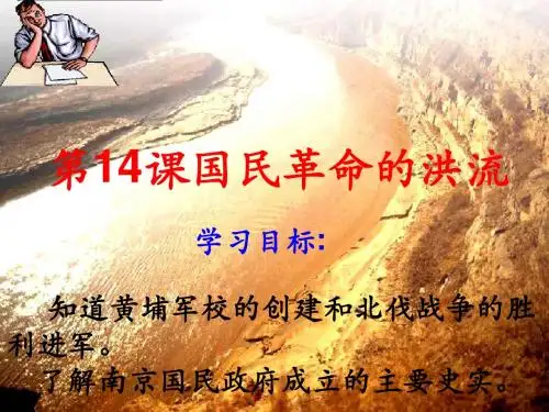 国民革命的洪流PPT优秀课件 北师大版
