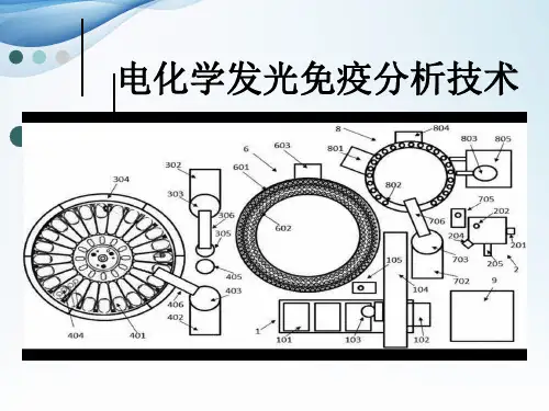 电化学发光免疫分析技术