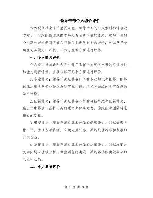 领导干部个人综合评价