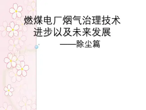 燃煤电厂烟气治理技术进步以及未来发展—除尘篇