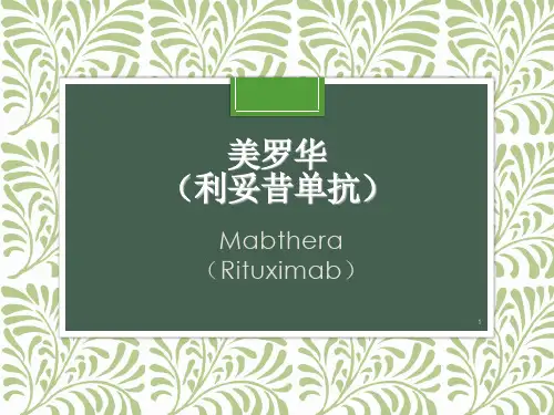 美罗华(利妥昔单抗)PPT精选课件