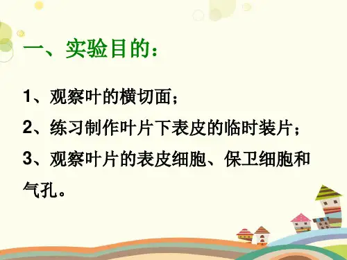 初中生物北师大七年级上册生物圈中的绿色植物观察叶片的结构PPT