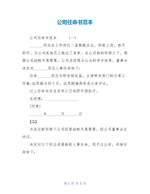 公司任命书范本