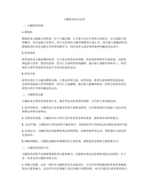 小腿肌知识点总结